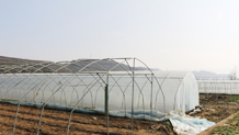 湖南同利棚业有限公司_同利棚业|湖南蔬菜大棚|湖南温室大棚|温室工程