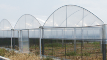 湖南同利棚业有限公司_同利棚业|湖南蔬菜大棚|湖南温室大棚|温室工程