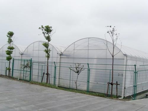 薄膜温室1