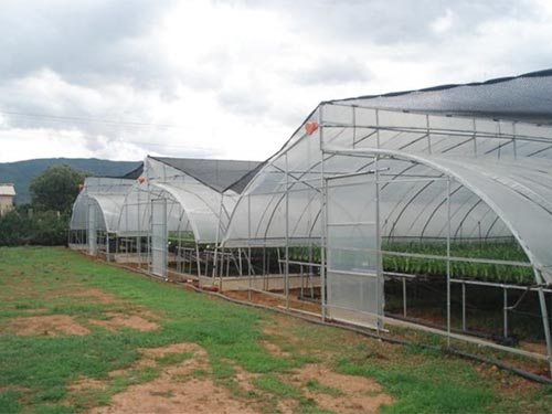 薄膜温室3