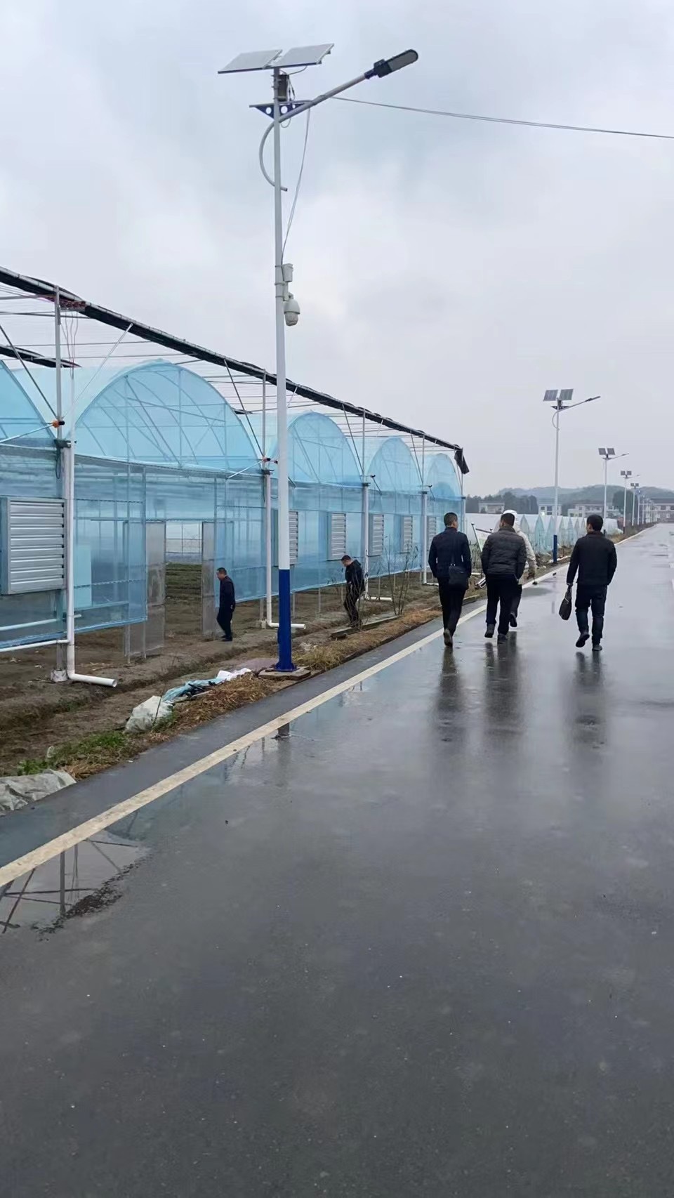 湖南同利棚业有限公司,湖南蔬菜大棚,湖南温室大棚,温室工程